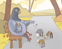 pigeon-feeding-humans