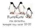pingvinite-sa-lqstovichki