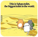 sahara-toilet