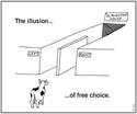 the-illusion-of-free-choice