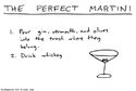the-perfect-martini