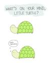 whats-on-your-mind-little-turtle