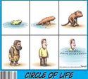 circle-of-life