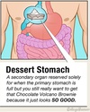 dessert-stomach