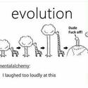 evolution-2