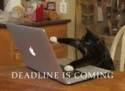deadline-is-coming