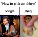 how-to-pick-up-chicks