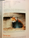 html5-red-panda