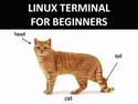 linux-terminal-commands-for-beginners