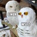 linux-vs-wsl2
