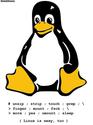 sexy-linux