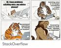 cats-stackoverflow