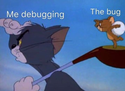 me-debugging-and-the-bug