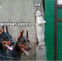windows-update-true-story