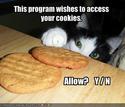 wishes-to-access-your-cookies