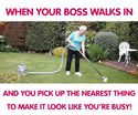when-the-boss-walks-in