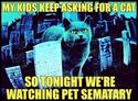 if-your-kids-keep-asking-for-a-cat
