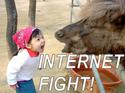 internet-fight
