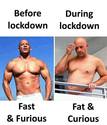 fast-and-furious-vs-fat-and-curious