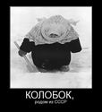 kolobok-e-ot-USSR