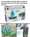 plant-urinal