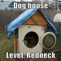 dog-house2