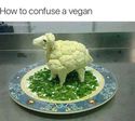 how-to-confuse-a-vegan