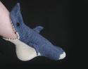 shark-sock