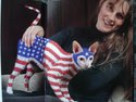 american-cat