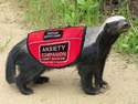 anxiety-companion-honey-badger