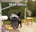bear-grills