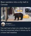 bear-on-a-flag