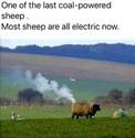 coal-powered-sheep
