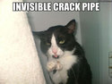 crack-pipe-cat