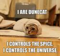 dune-cat