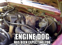 engine-dog