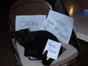 evil-cat
