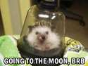 going-to-the-moon-brb