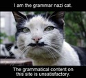 grammar-nazi-cat