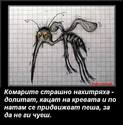 hitrite-komari