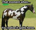 horse-si-pishe
