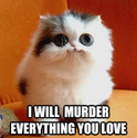 i-will-murder-everything-you-love