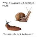 just-divorced-snails