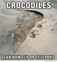 krokodilite-veche-letqt-ili-se-teleportirat