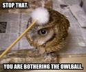 owlball