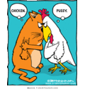 pussy-chicken