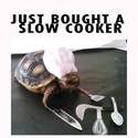 slow-cooker