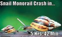 snail-crash