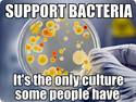 support-bacteria