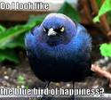 the-blue-bird-of-happiness